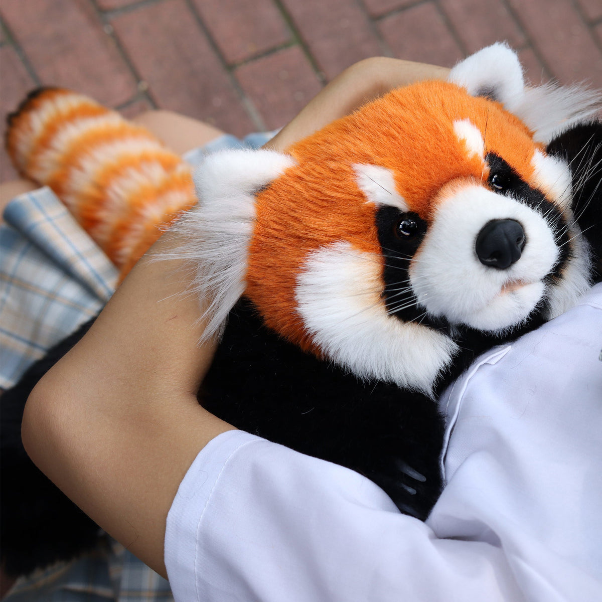 2.5lbs Red Panda ESSA Weighted Stuffed Animal – Snuggle Toy for Relaxation