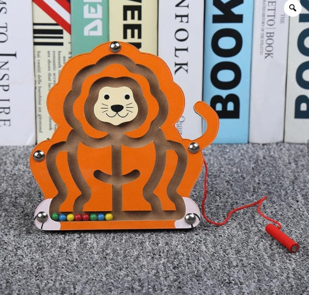 Children Magnetic Maze