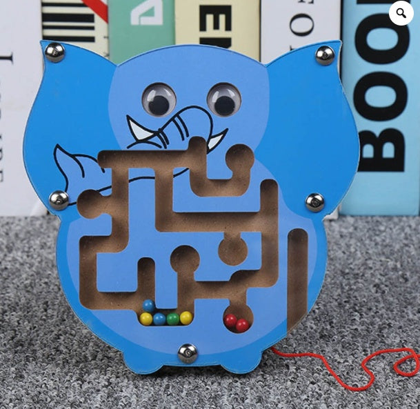 Children Magnetic Maze