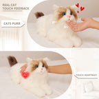 Percy Companion – Interactive Robot Cat（MateCat 1.1）