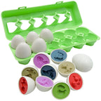 Sorting Egg Toy