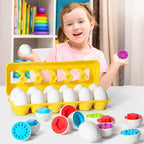 Sorting Egg Toy