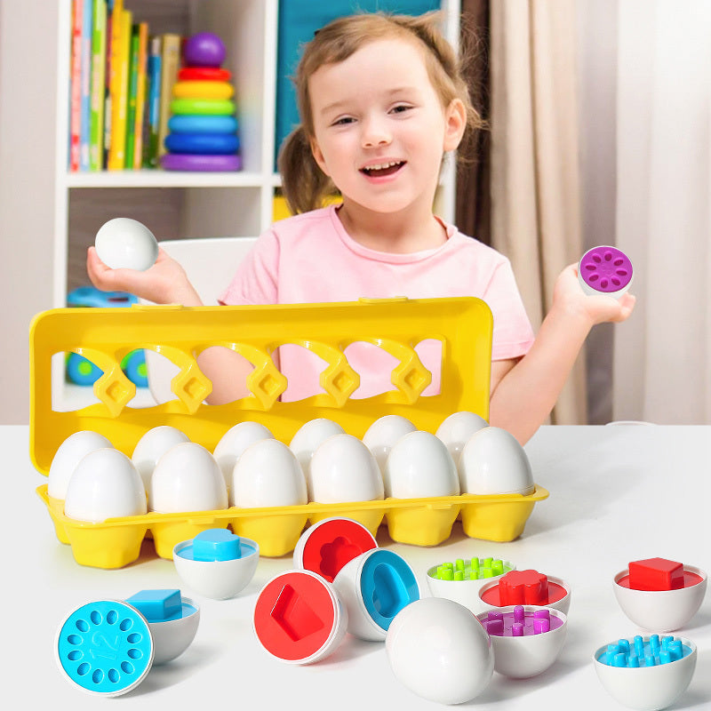 Sorting Egg Toy