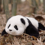 2.5lbs Red Panda ESSA Weighted Stuffed Animal – Snuggle Toy for Relaxation