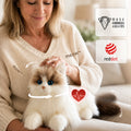 Percy Companion – Interactive Robot Cat（MateCat 1.1）