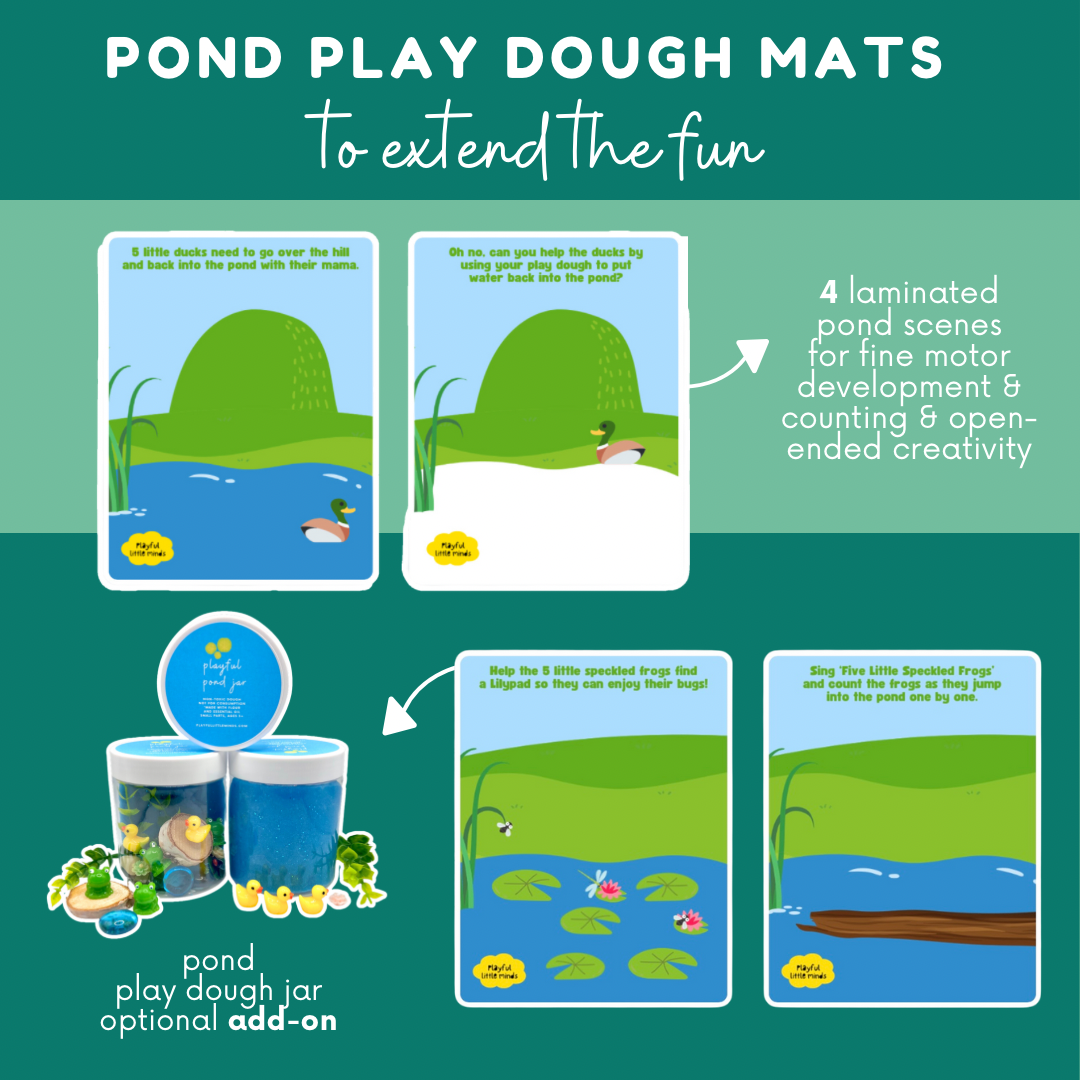 Duck Pond Playdough Kit