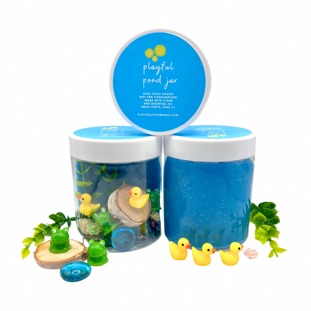 Duck Pond Playdough Kit