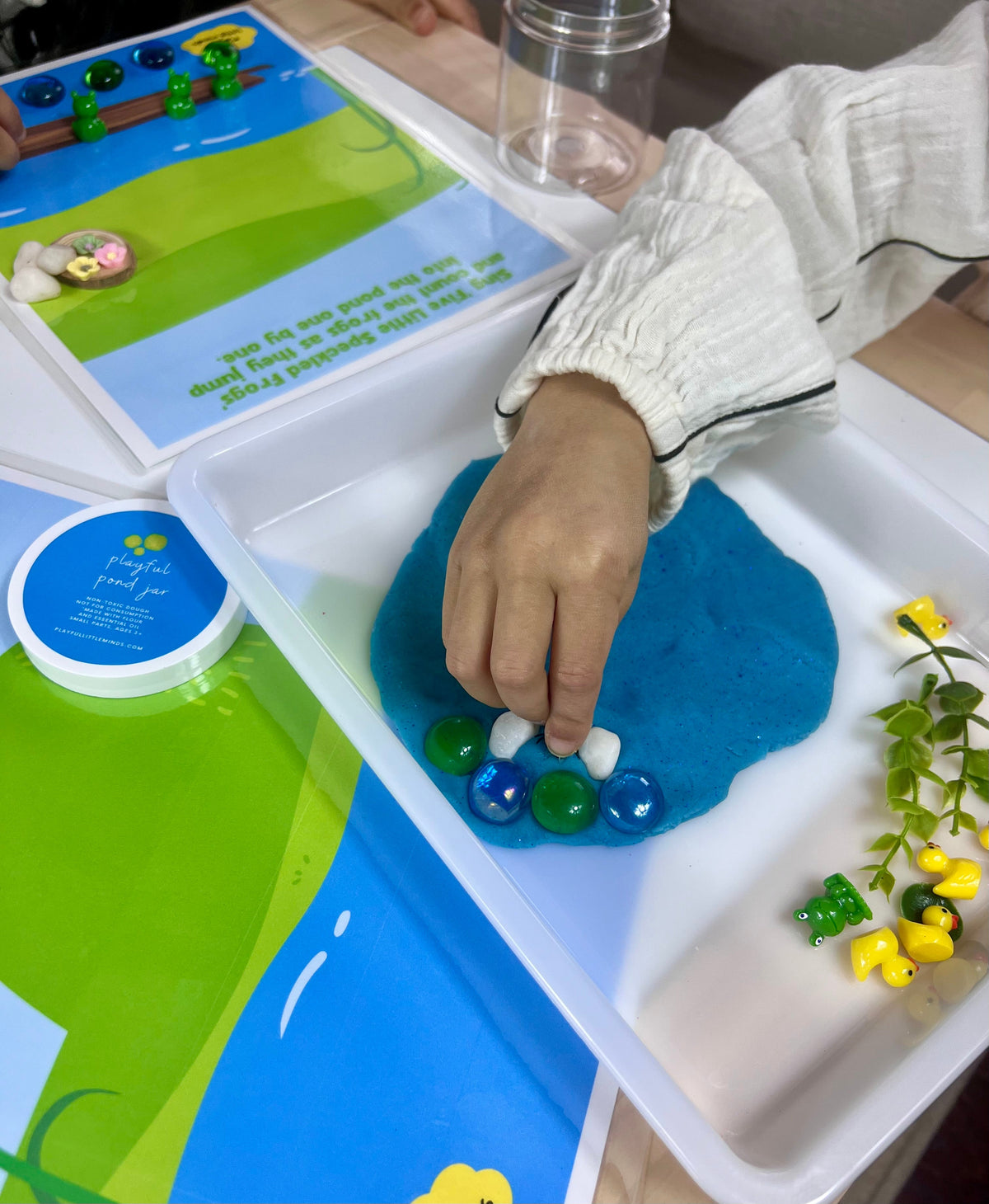Duck Pond Playdough Kit