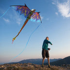 76 Inch (6 Foot) Wingspan 3-D Nylon Blue Dragon Kite