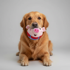 Interactive Jumping Pig Toy Ball