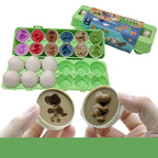 Sorting Egg Toy