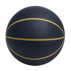 Quiet Bounce Basketball