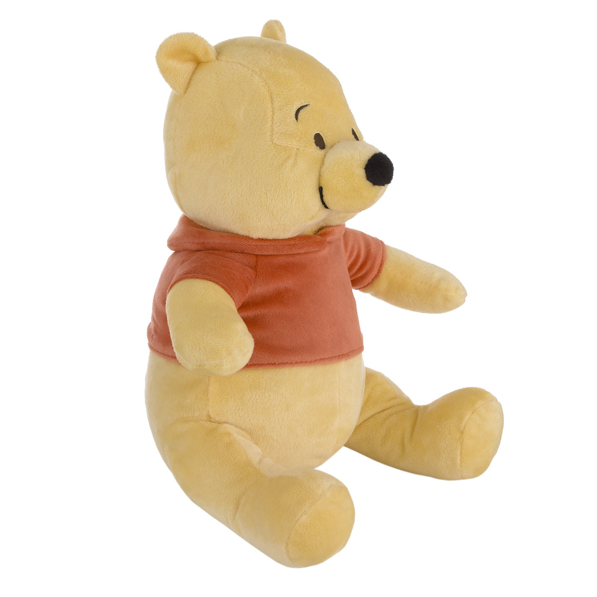 Winnie the Pooh Plush Stuffed Animal